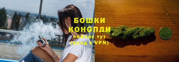 спайс Покачи